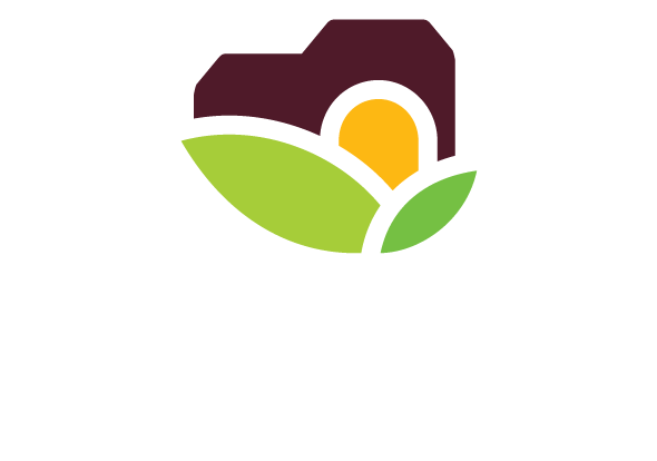 Accueil - Chèque Waloco - photo 34